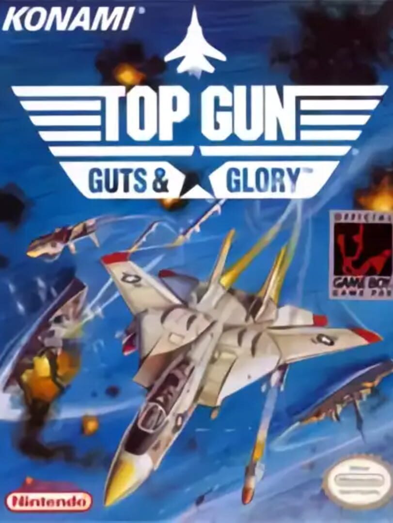 Top Gun: Guts and Glory カバー