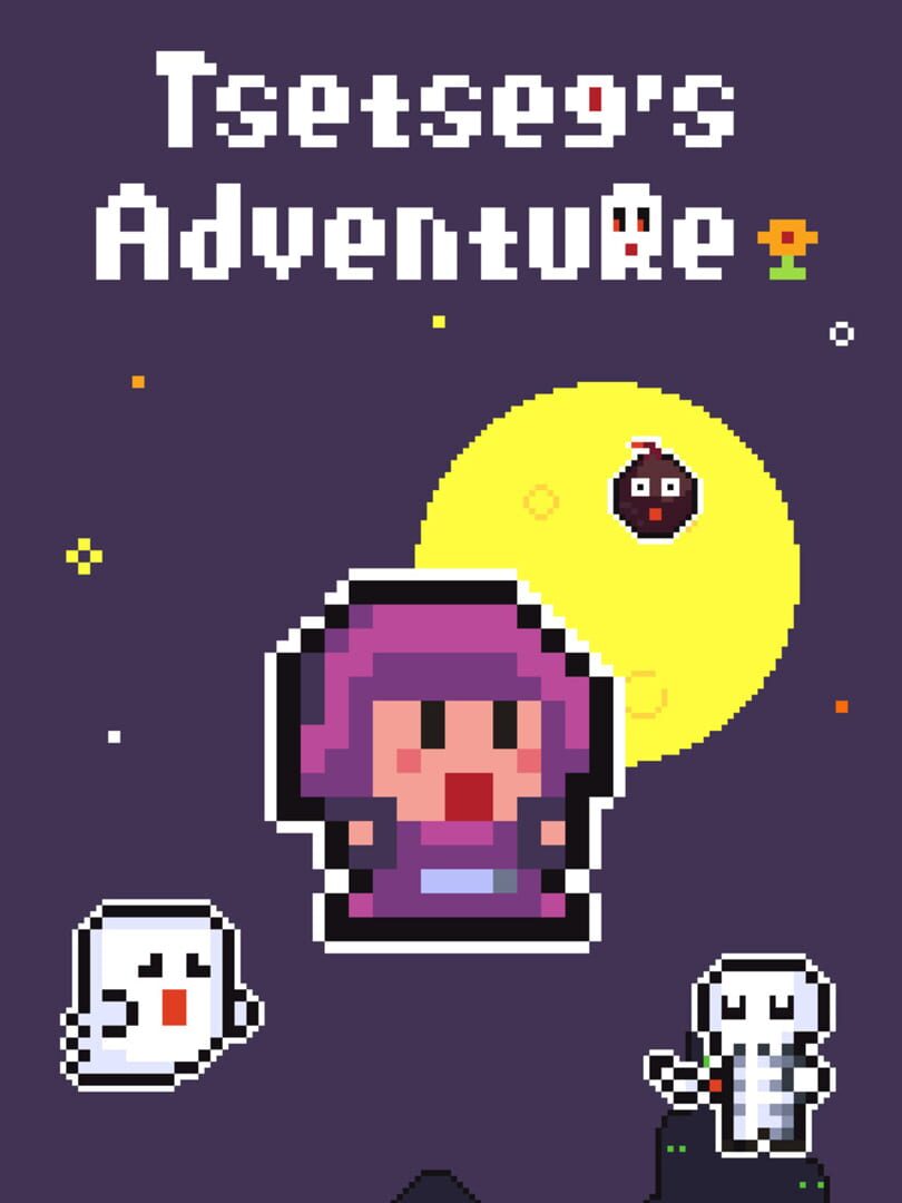Capa de Tsetseg's Adventure