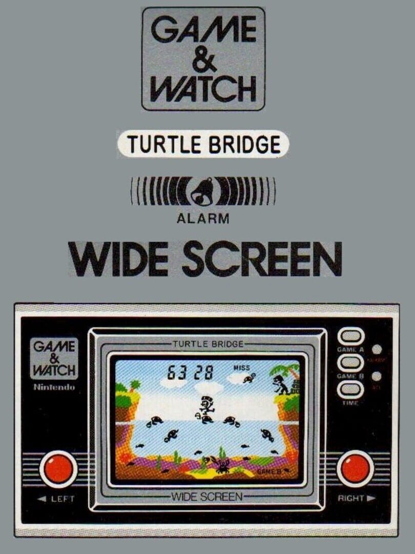 Turtle Bridge Cover