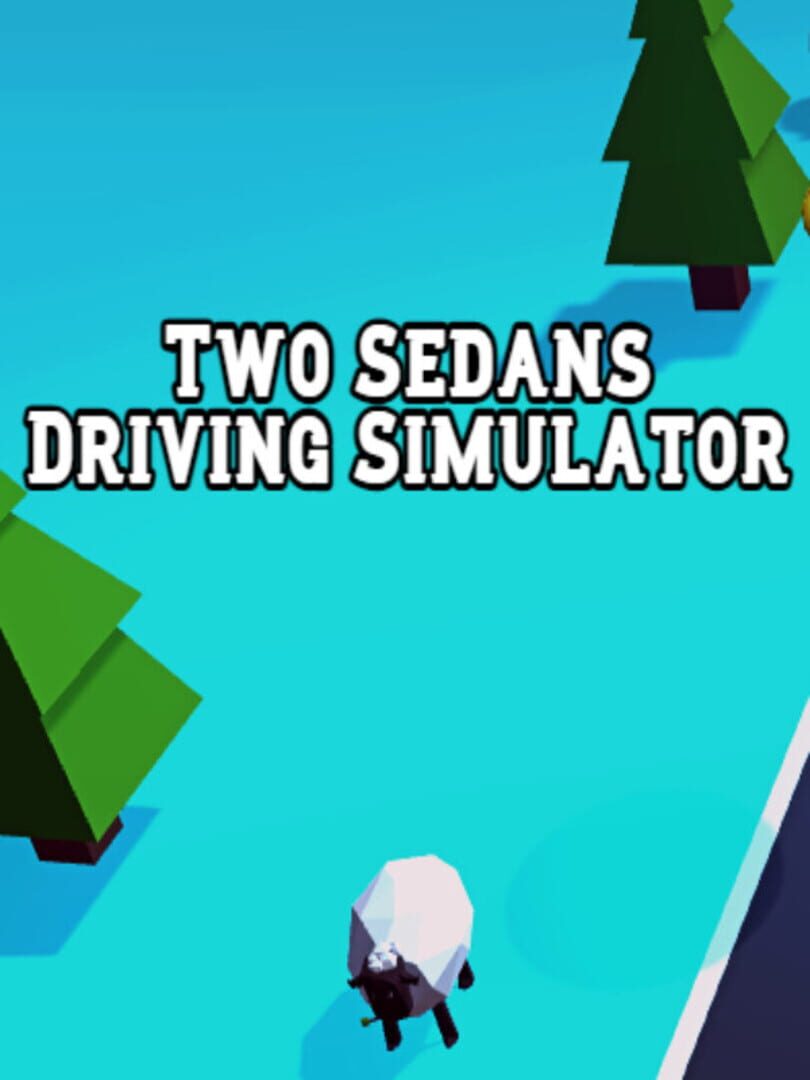 Capa de Two Sedans Driving Simulator
