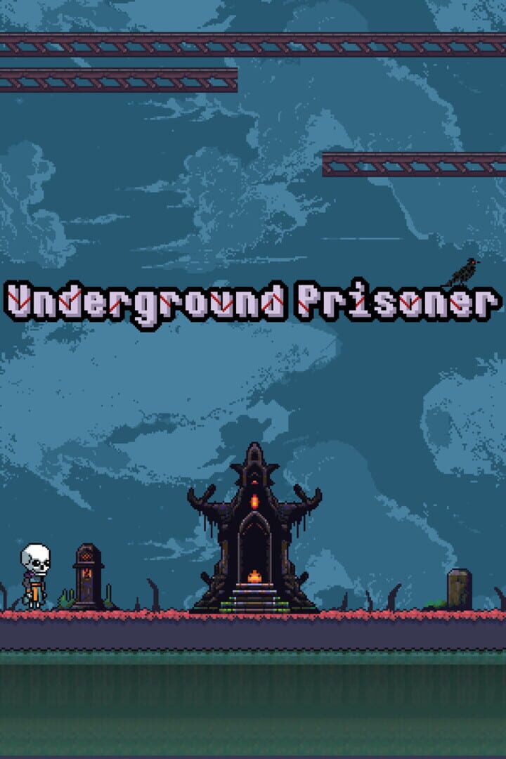 Couverture de Underground Prisoner