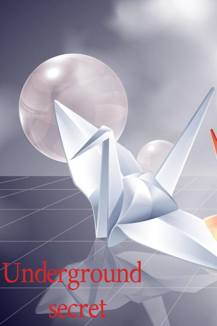 Copertina di Underground secret