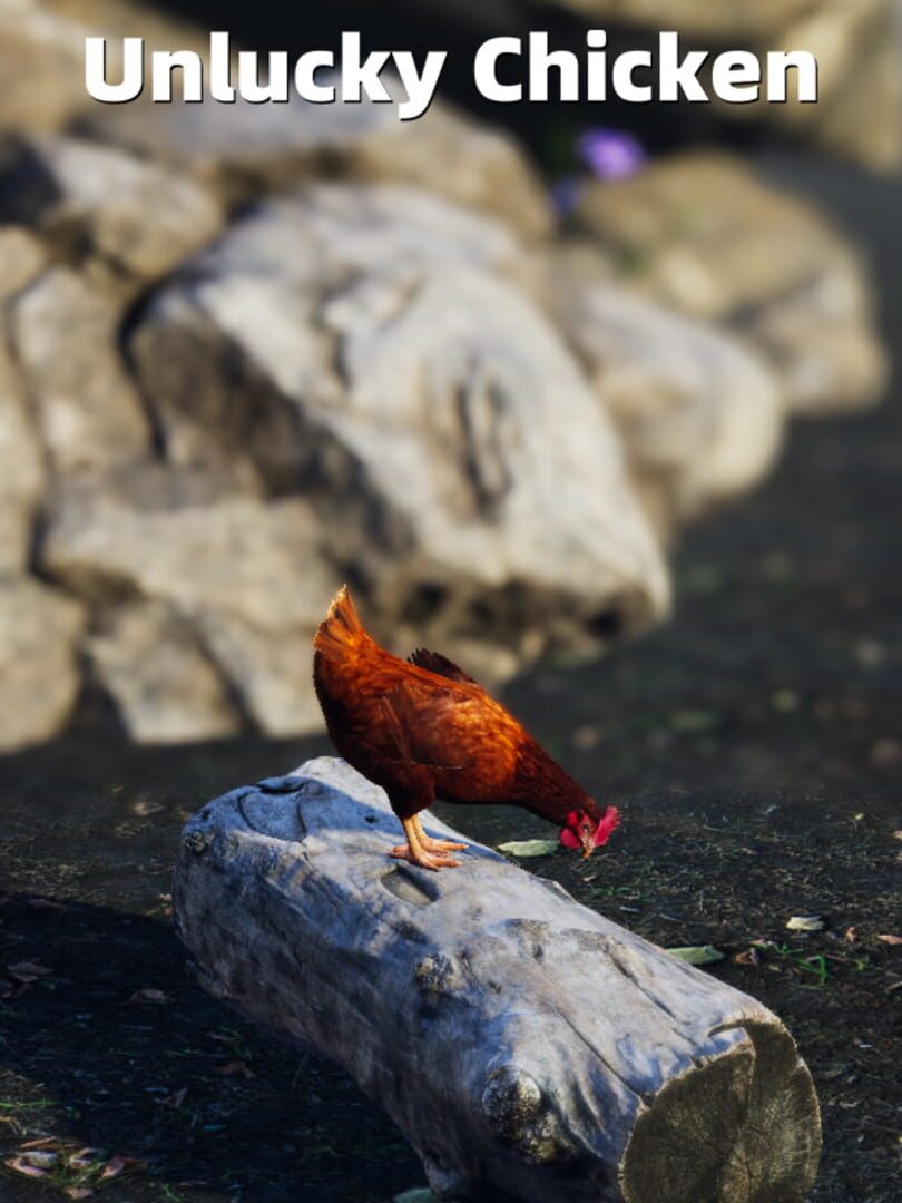 Unlucky Chicken Cover