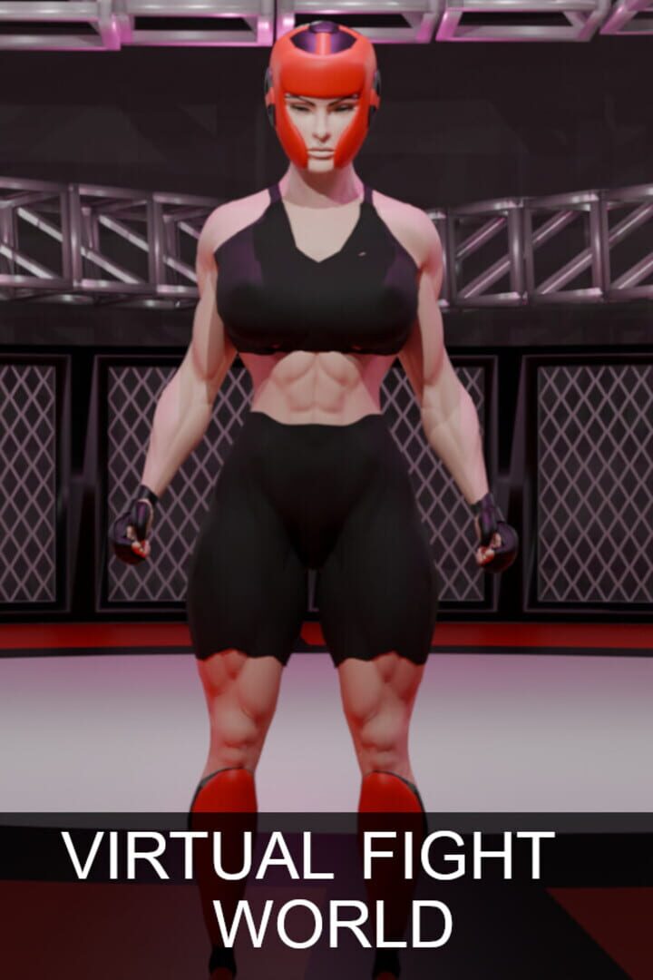 Virtual Fight World 커버