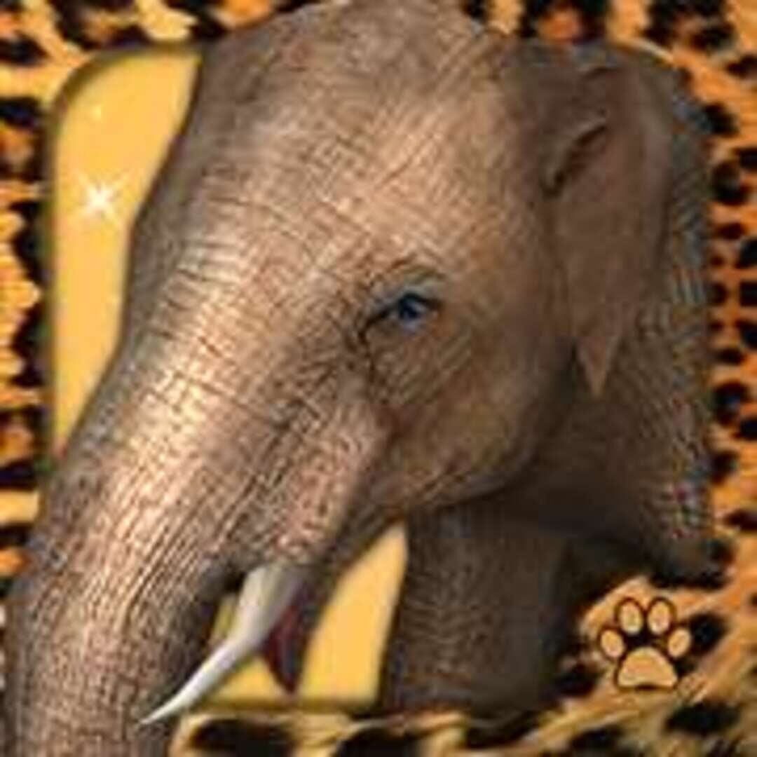 Couverture de Virtual Pet Elephant
