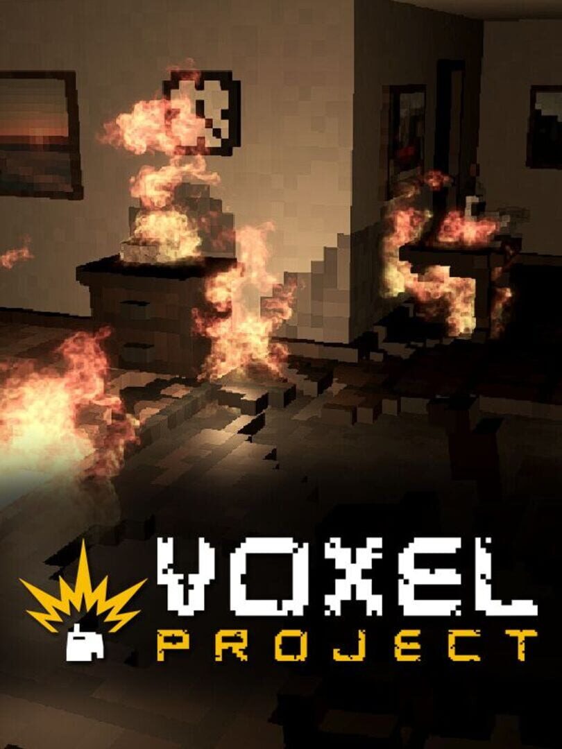 Capa de Voxel Project