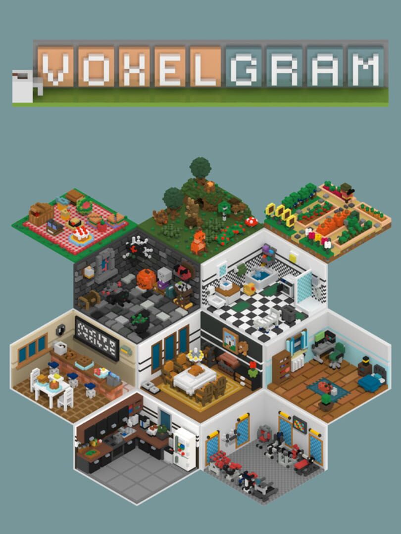 Couverture de Voxelgram