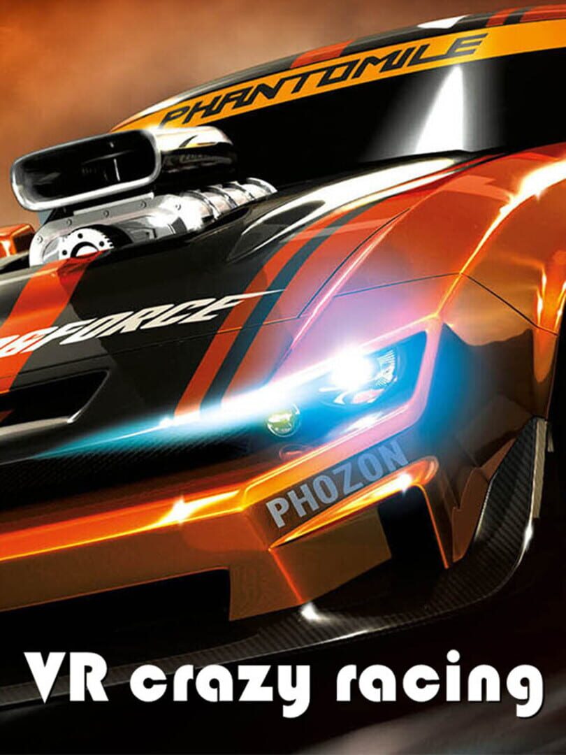 Couverture de VR Crazy Racing