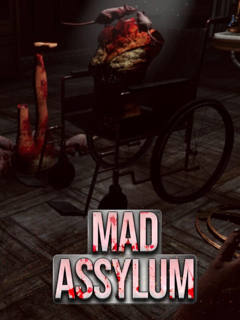 VR Mad Asylum Cover