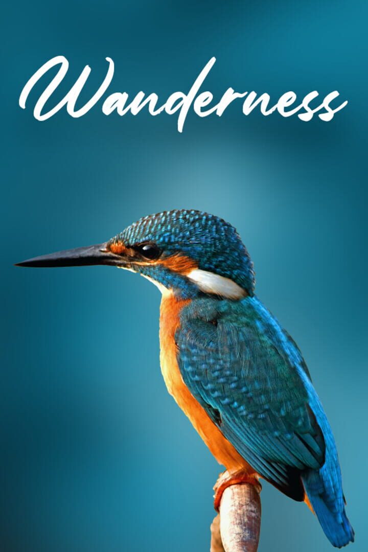 Wanderness Cover