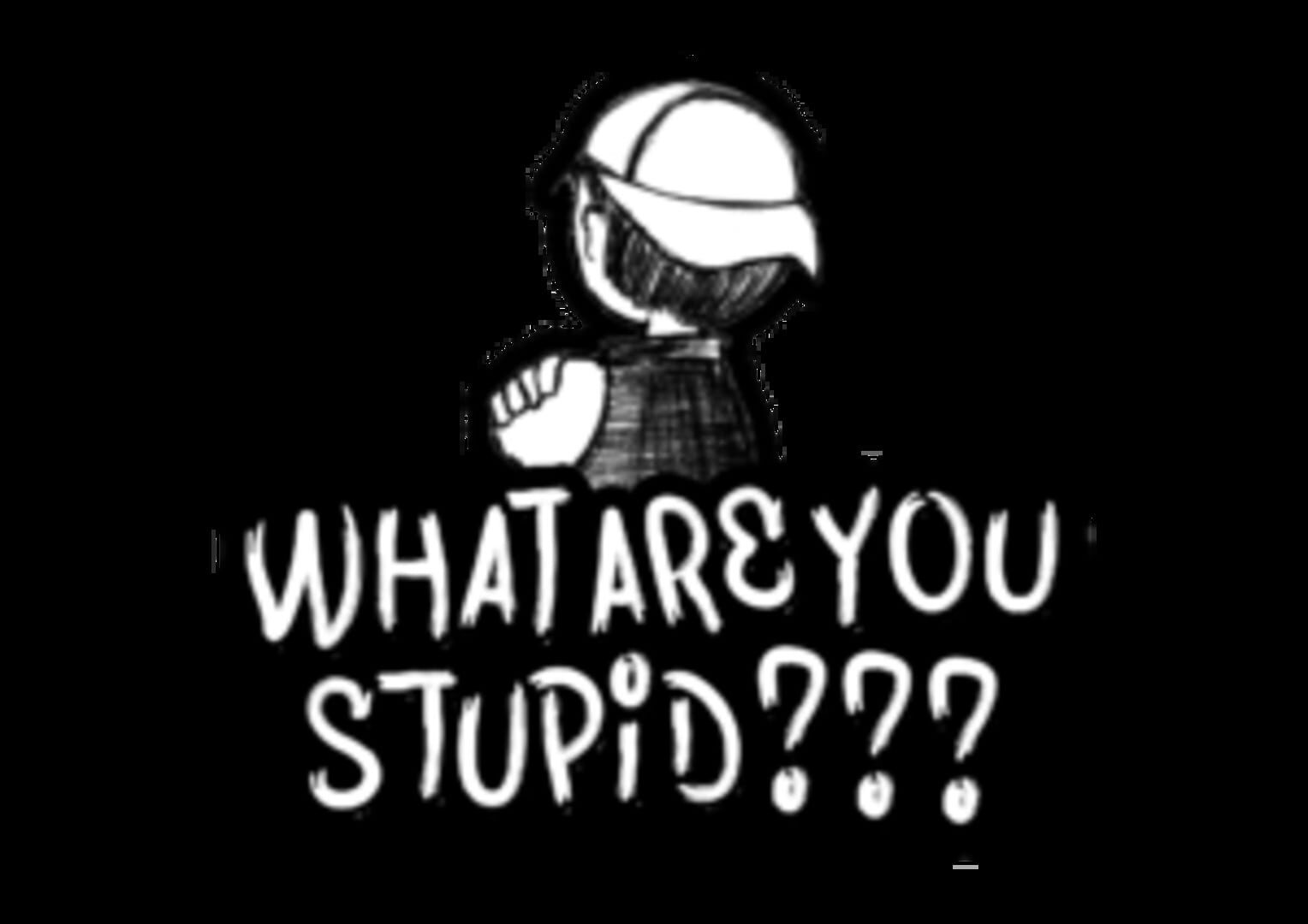 Couverture de What Are You Stupid