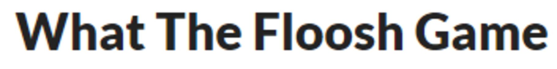 Couverture de What The Floosh Game