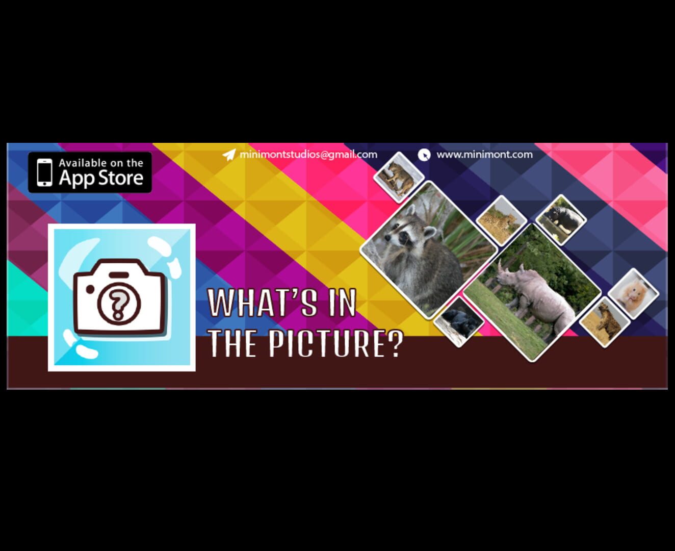 Copertina di What's in the Picture: Animals