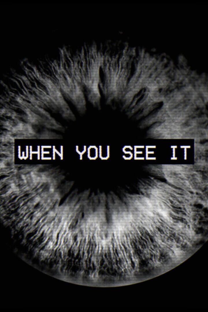 Capa de When You See It