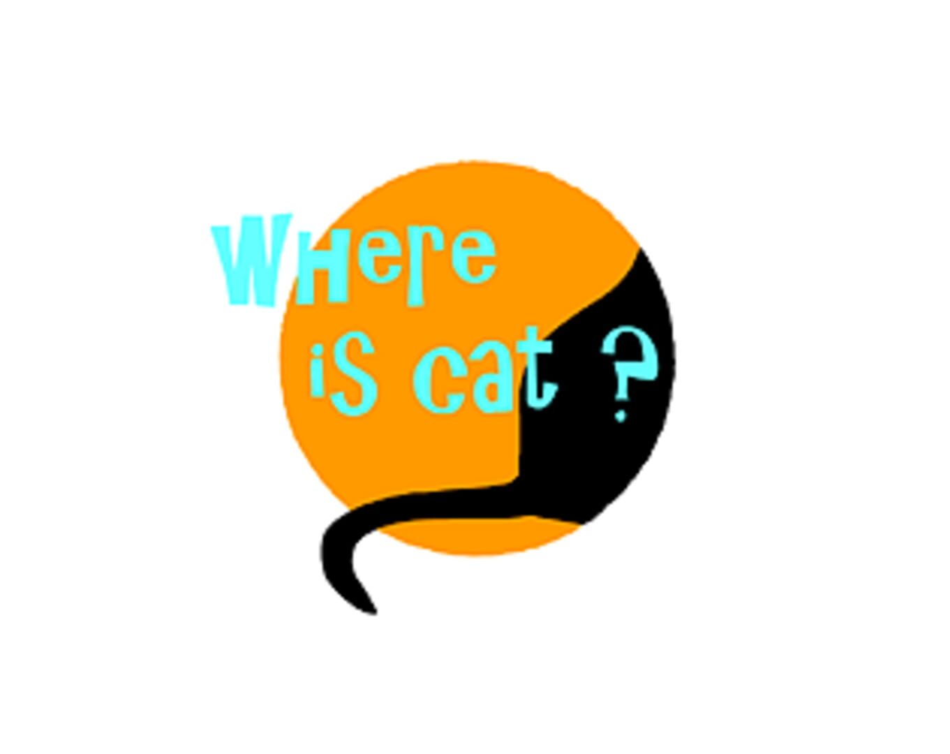 Copertina di Where is cat?