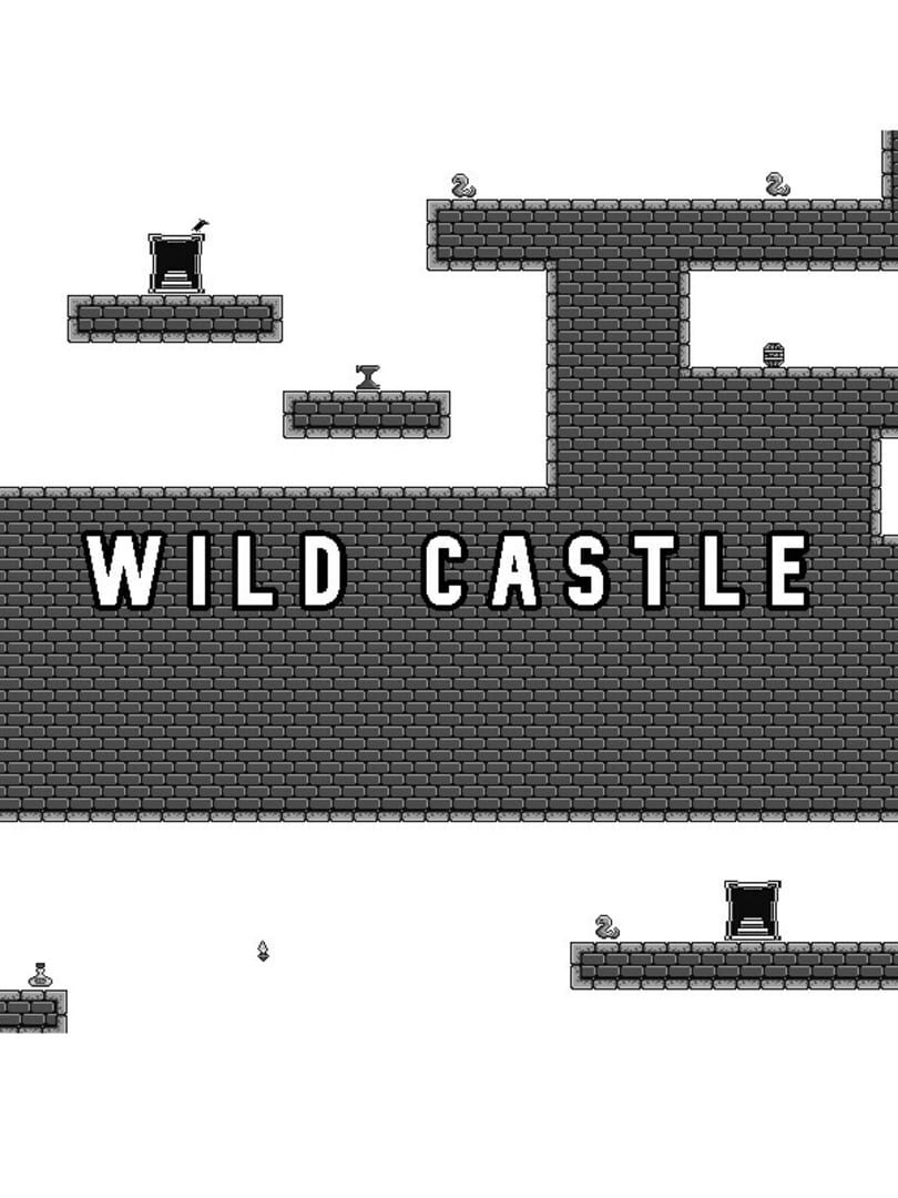 Is Wild Castle Down Right Now? Server Status & Outages