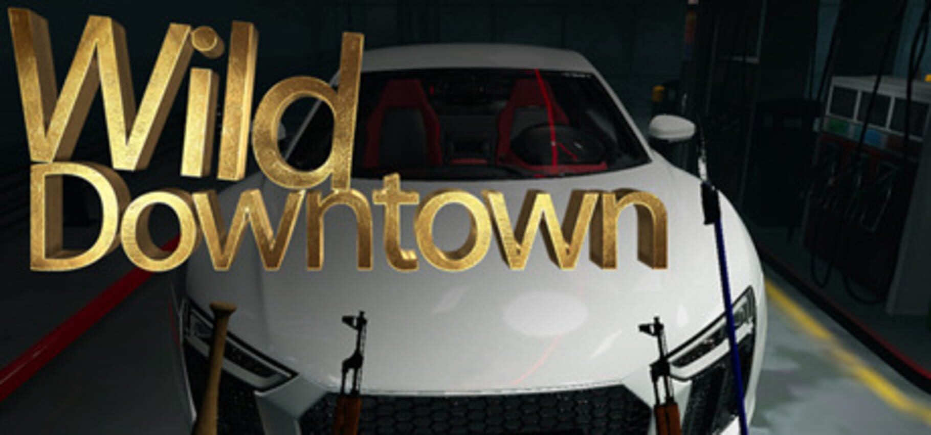 Capa de Wild Downtown