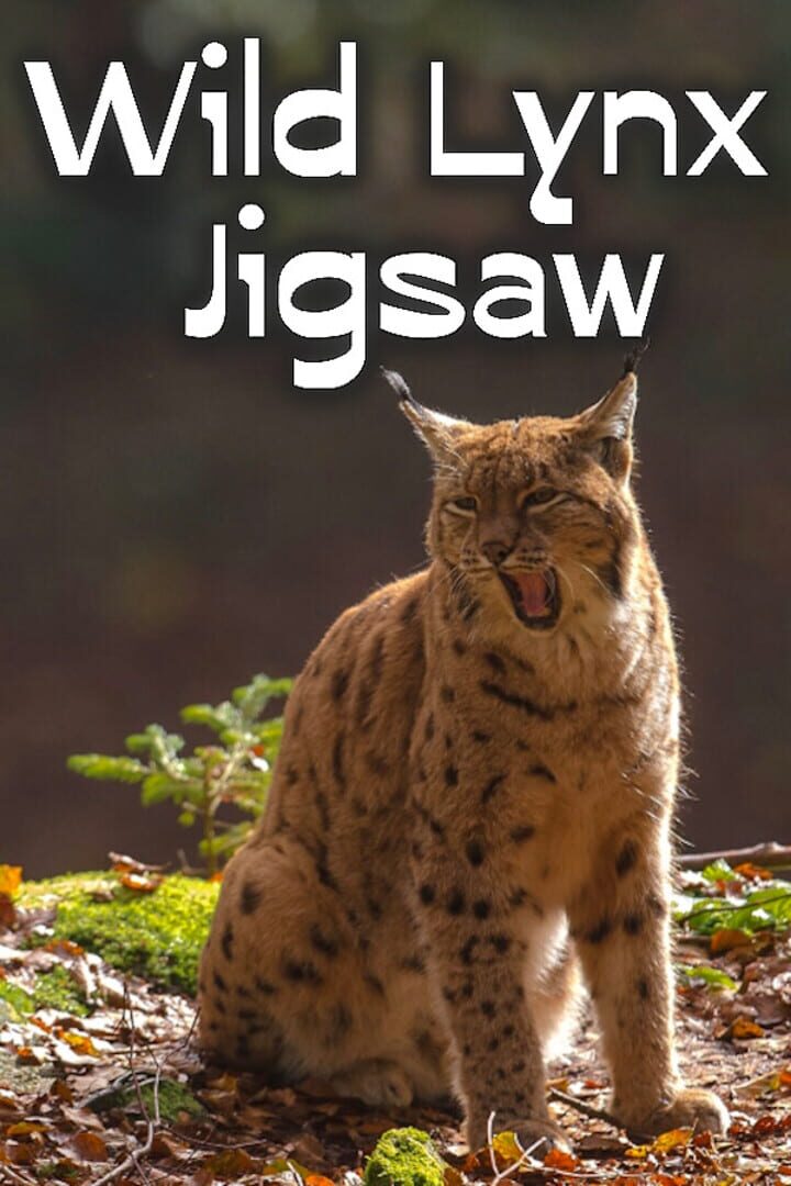 Wild Lynx Jigsaw カバー