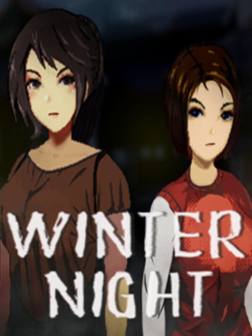 Winter Night Cover