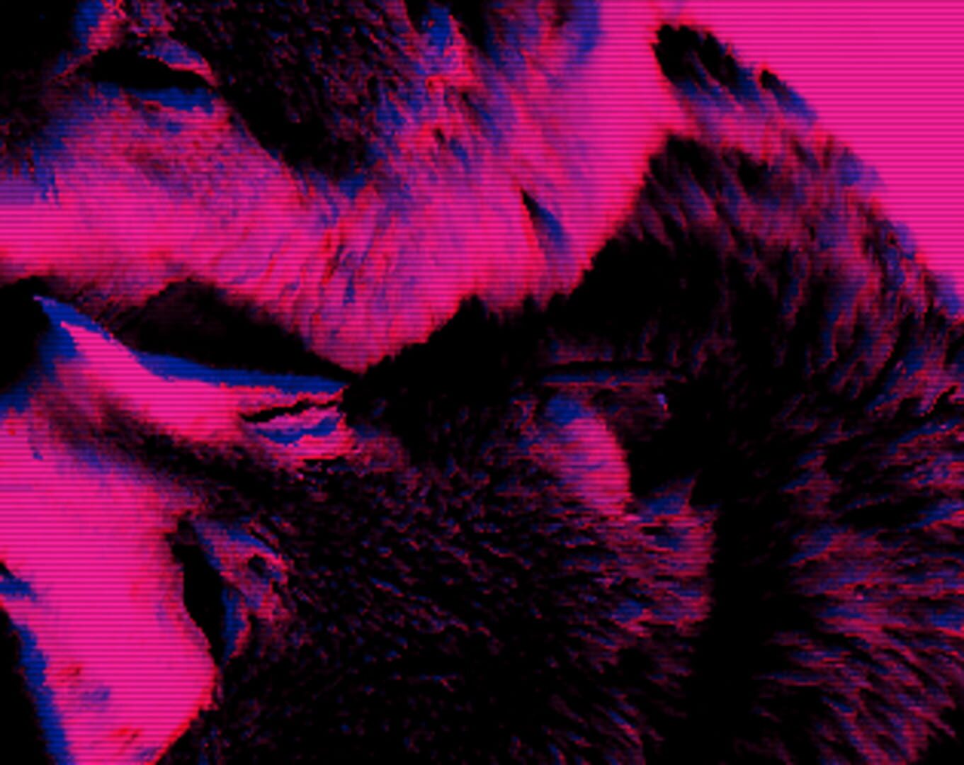 Wolfgirls in Love カバー