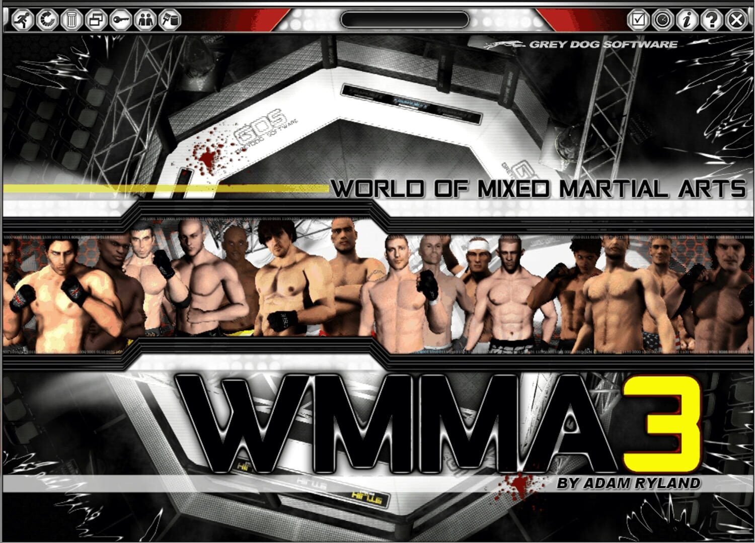Couverture de World of Mixed Martial Arts 3