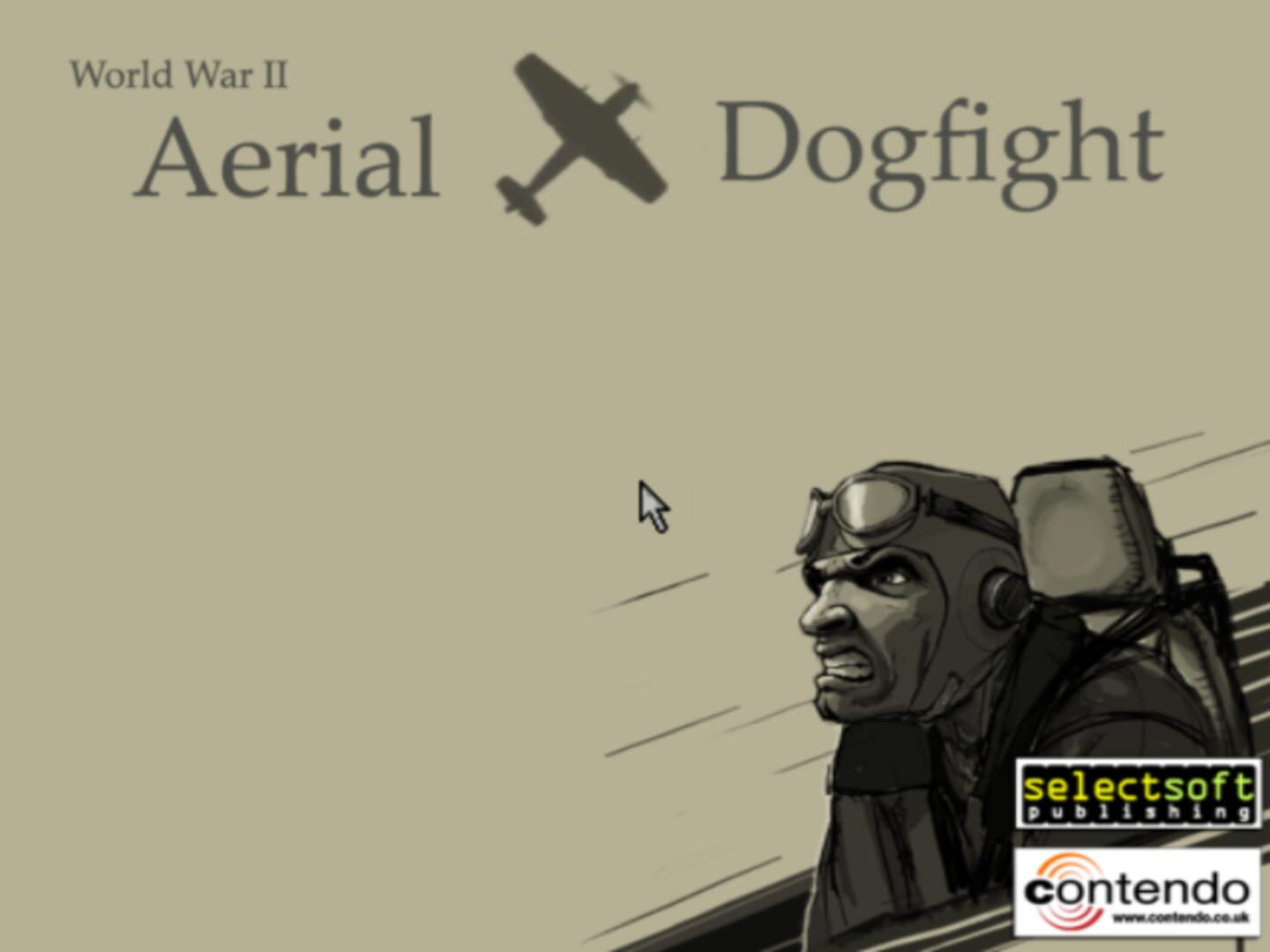 Copertina di WWII Aerial Dogfight