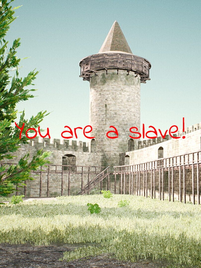 You are a slave! Kapağı