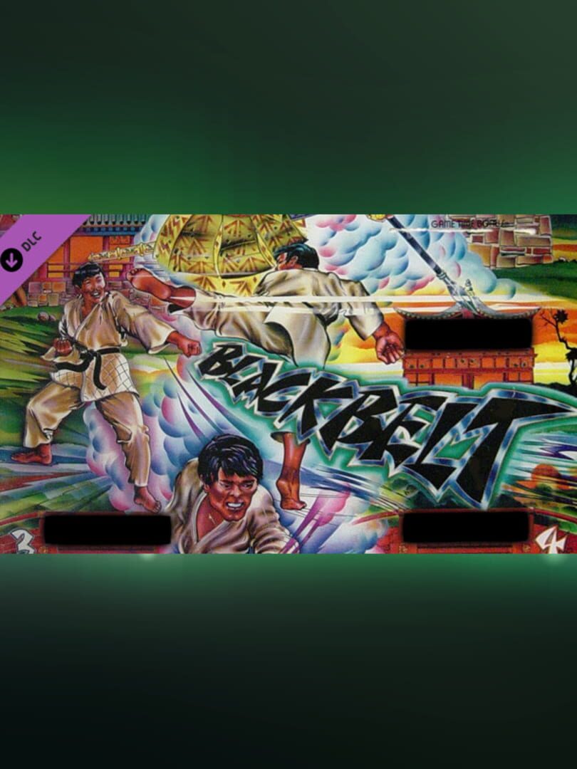 Zaccaria Pinball: Blackbelt Table カバー