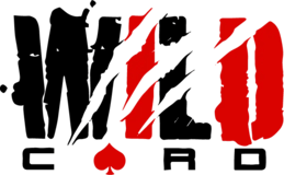 Studio Wildcard logo