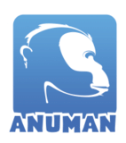 Anuman Interactive logo