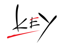 Key logo